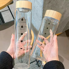 Hot & Cold Transparent Imported Household Travel Friendly Glass Water Juice Tea Coffee Milk Bottle 🍋🍶🥑