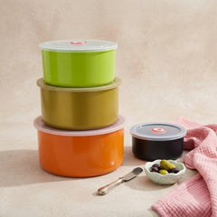 Multipurpose Stainless Steel Food Storage Container Set 🍜✨